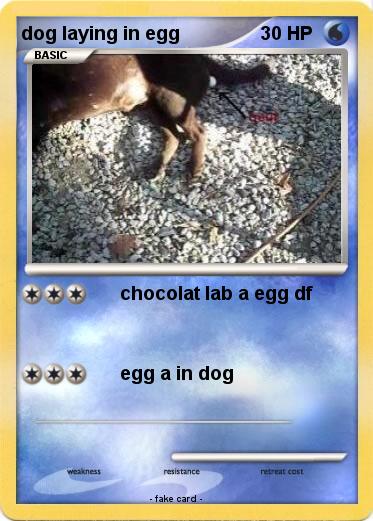 Pokemon dog laying in egg