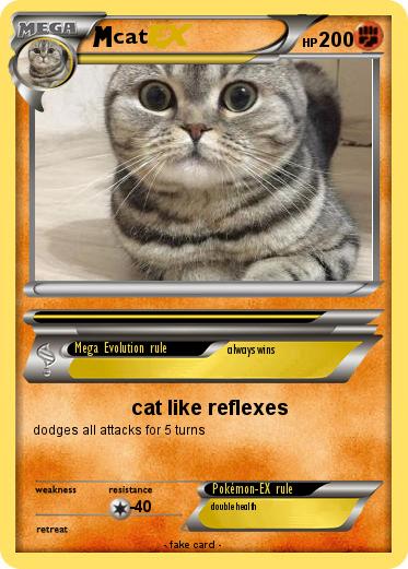 Pokemon cat