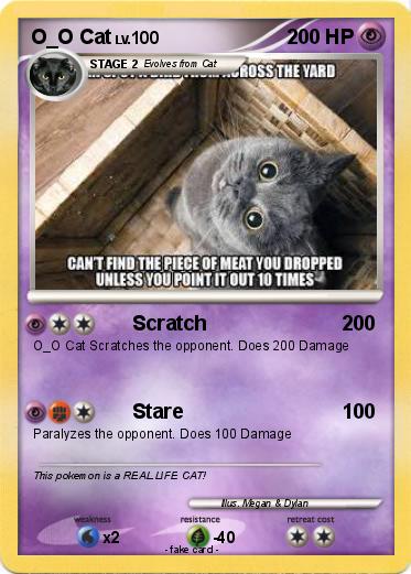 Pokemon O_O Cat