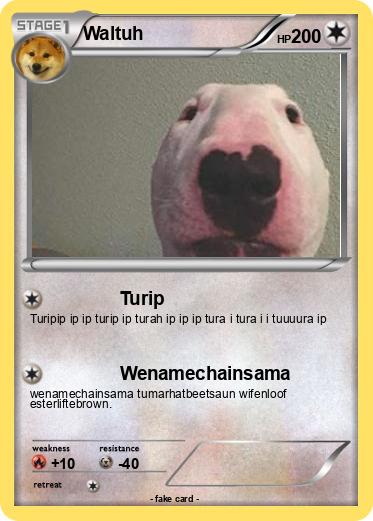 Pokemon Waltuh