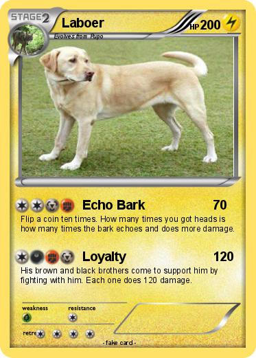 Pokemon Laboer