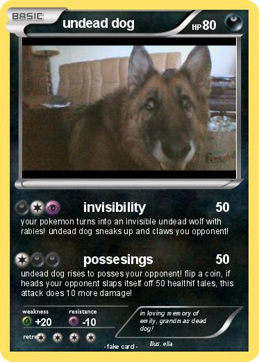 Pokemon undead dog
