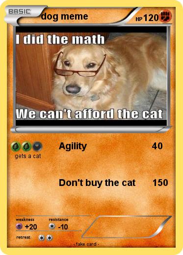 Pokemon dog meme