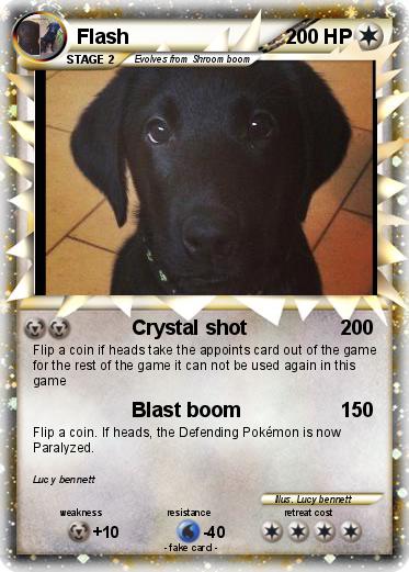 Pokemon Flash