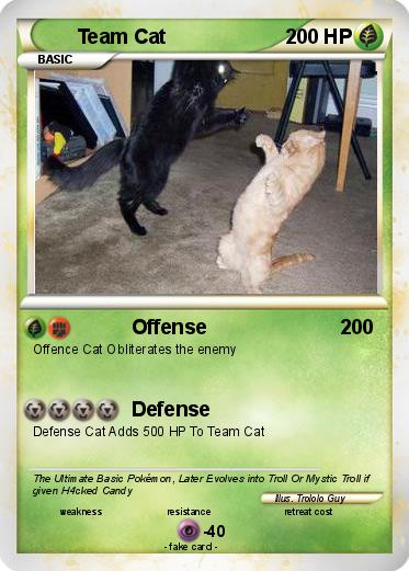 Pokemon Team Cat