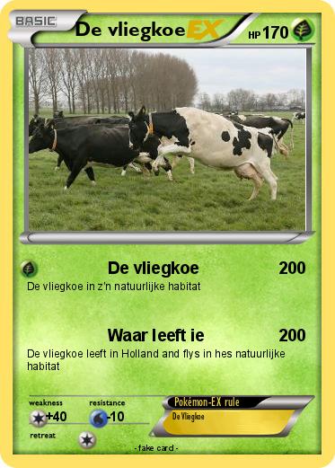 Pokemon De vliegkoe