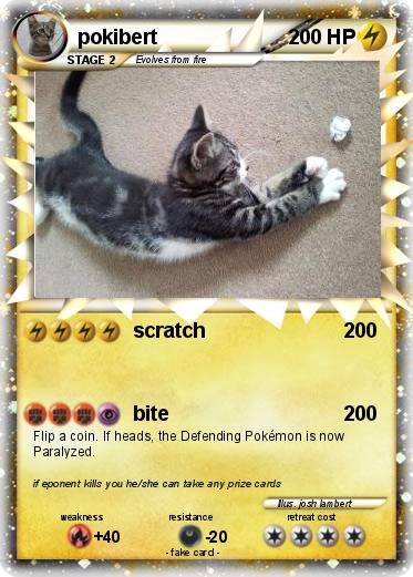 Pokemon pokibert