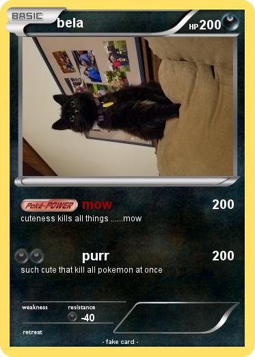 Pokemon bela