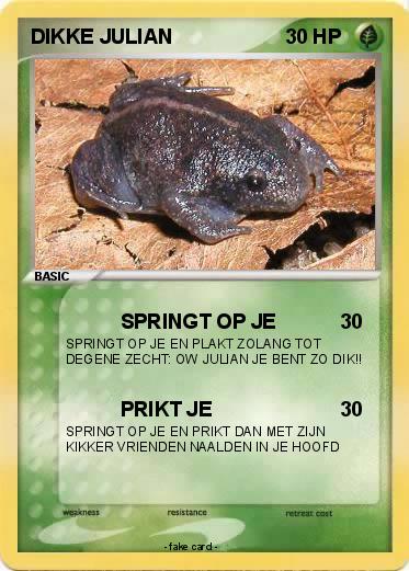 Pokemon Neus Aap 1