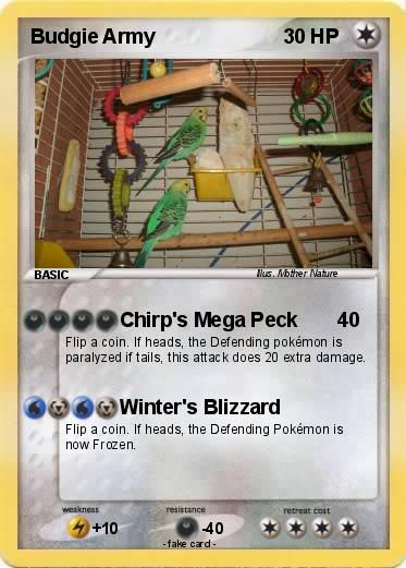 Pokemon Budgie Army