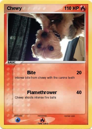 Pokemon Chewy