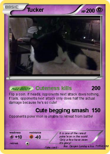 Pokemon Tucker