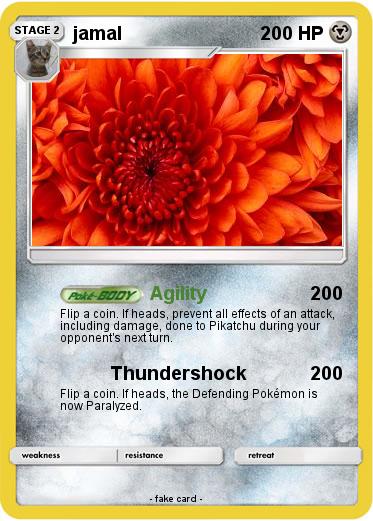Pokemon jamal