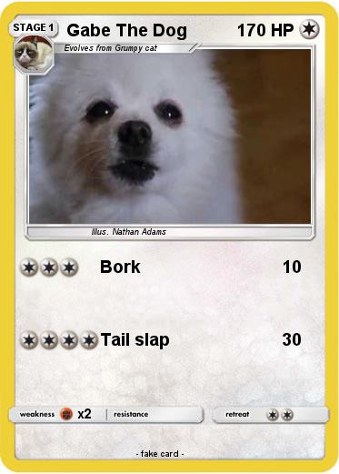 Pokemon Gabe The Dog