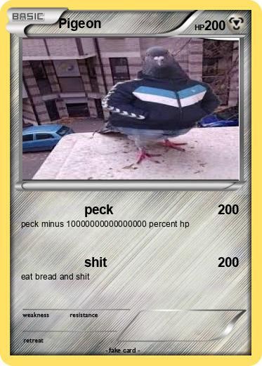 Pokemon Pigeon