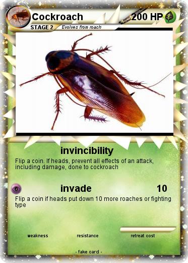 Pokemon Cockroach