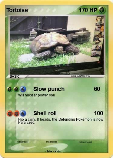Pokemon Tortoise