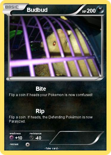 Pokemon Budbud