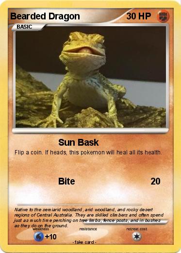 Pokemon Bearded Dragon