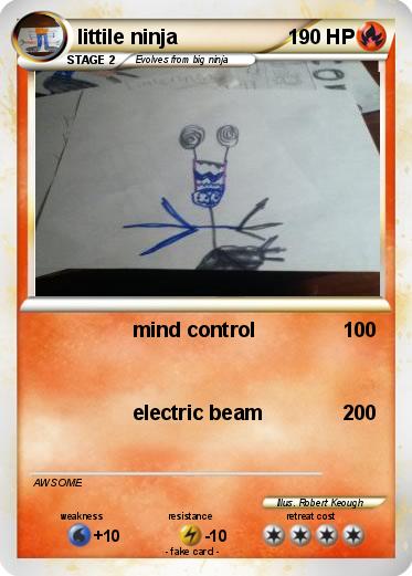 Pokemon littile ninja