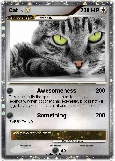 Pokemon Cat