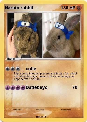 Pokemon Naruto rabbit