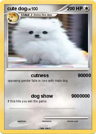 Pokemon cute dog