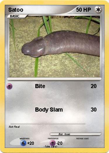 Pokemon Satoo