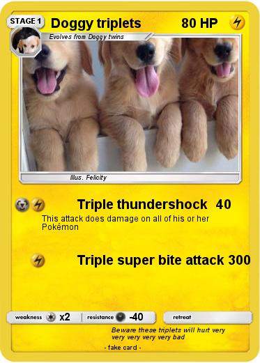 Pokemon Doggy triplets