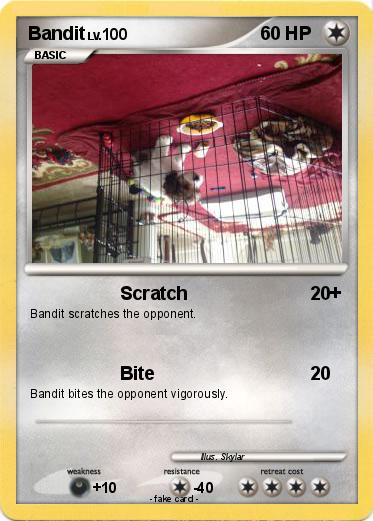 Pokemon Bandit