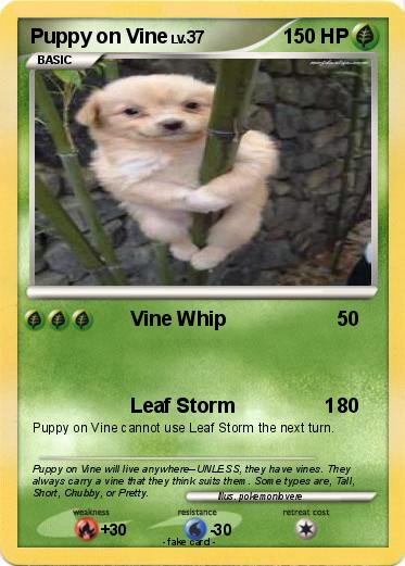 Pokemon Puppy on Vine