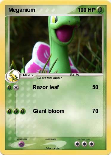 Pokemon Meganium