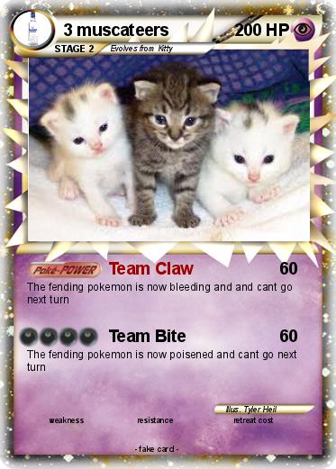 Pokemon 3 muscateers