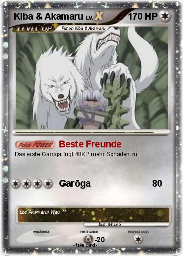 Pokemon Kiba & Akamaru