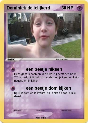 Pokemon Dominiek de lelijkerd