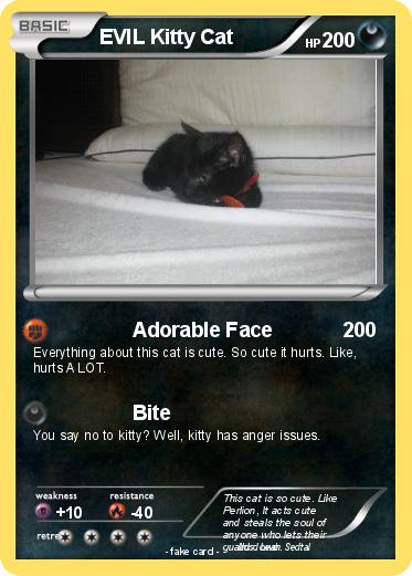 Pokemon EVIL Kitty Cat