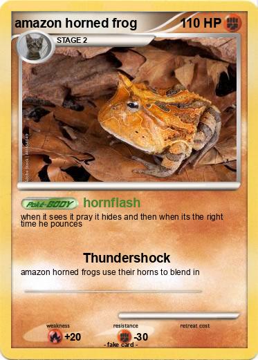 Pokemon amazon horned frog