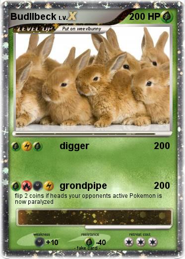 Pokemon Budllbeck