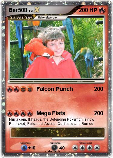 Pokemon Ber508