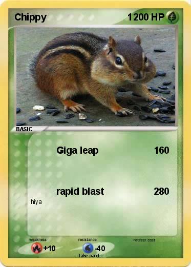 Pokemon Chippy                               1