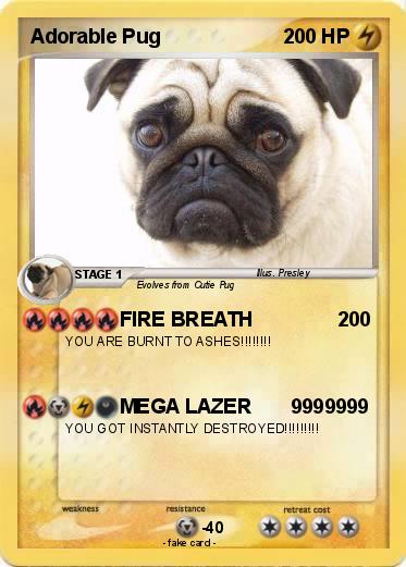 Pokemon Adorable Pug