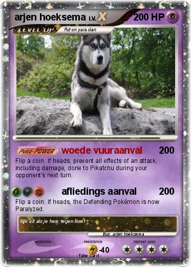 Pokemon arjen hoeksema