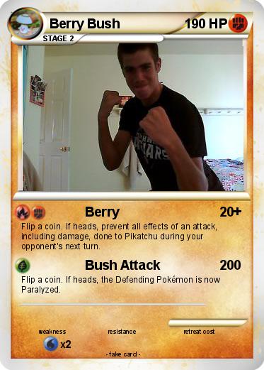 Pokemon Berry Bush