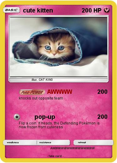 Pokemon cute kitten