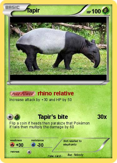 Pokemon Tapir