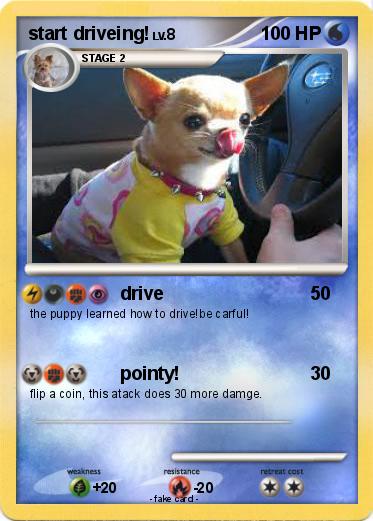 Pokemon start driveing!