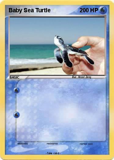 Pokemon Baby Sea Turtle