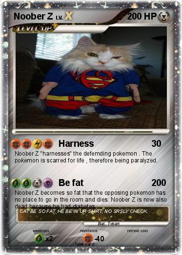 Pokemon Noober Z