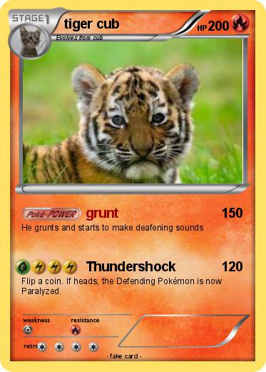 Pokemon tiger cub