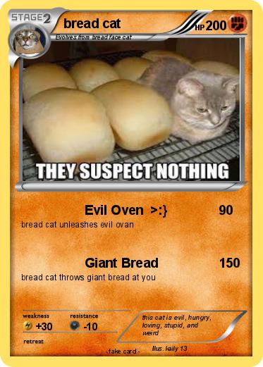 Pokemon bread cat